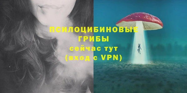 spice Армянск