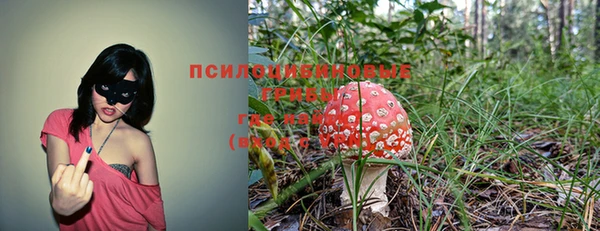 гидропоника Арсеньев