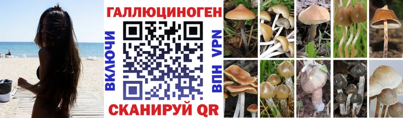 Галлюциногенные грибы Psilocybine cubensis  кракен сайт  площадка какой сайт  Павловск 